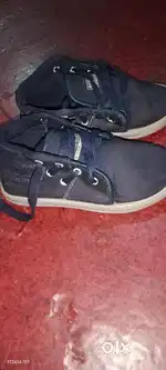 Sport cotton show scenes 1980