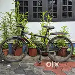 Cosmic level bycycle.