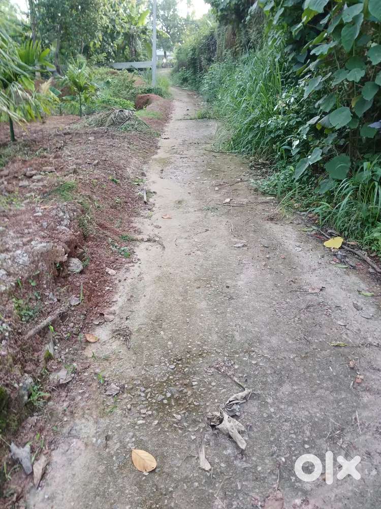 40 cent land. Can be sold  in plots.