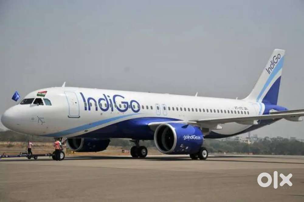 Cabin Crew/ Airport Ground Staff Jobs in Indigo airlines.