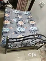 Steel double cot with bed
