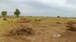 Agricultural land for sale
