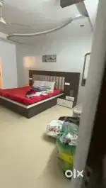 Need a roommate