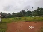 81 cent land for sale near Nedumbassery Airport 1km