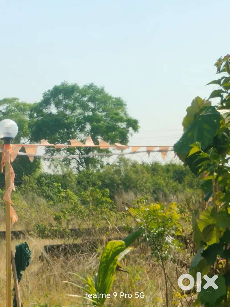 ST and genral plot available