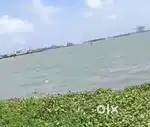 Super plot for sale Ernakulam vallarpadam
