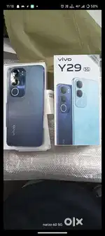 Y29 20 dy pH