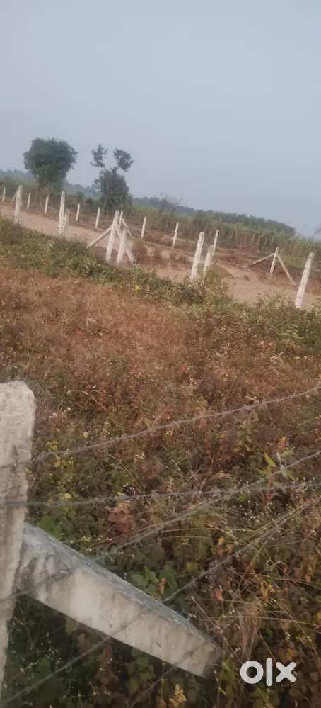 Near shiv mandir balluwala, plot ki tar nondry ho rakhi hai