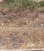 Akram sakram Plot for sale near rajiv gandhi nagar someshwar dharwad