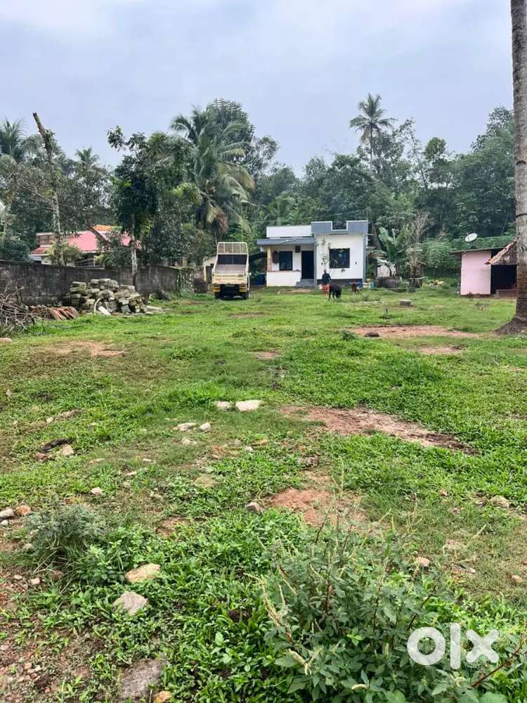 5 സെന്റ് പ്ലോട്ട് വിൽപ്പനയ്ക്ക്. സ്ഥലം: 'തട്ടാർക്കോണം,കരിക്കോട്,കൊല്ലം