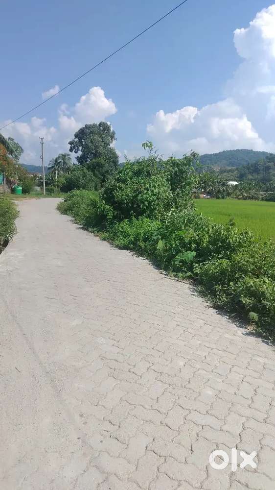 At JAGIROAD highway distance 400m