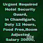 5 Star Hotel Security Guard Job Chandigarh 109