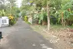 Land 8.5 cent at Adichira-Thellakom 3.25 lakh/cent