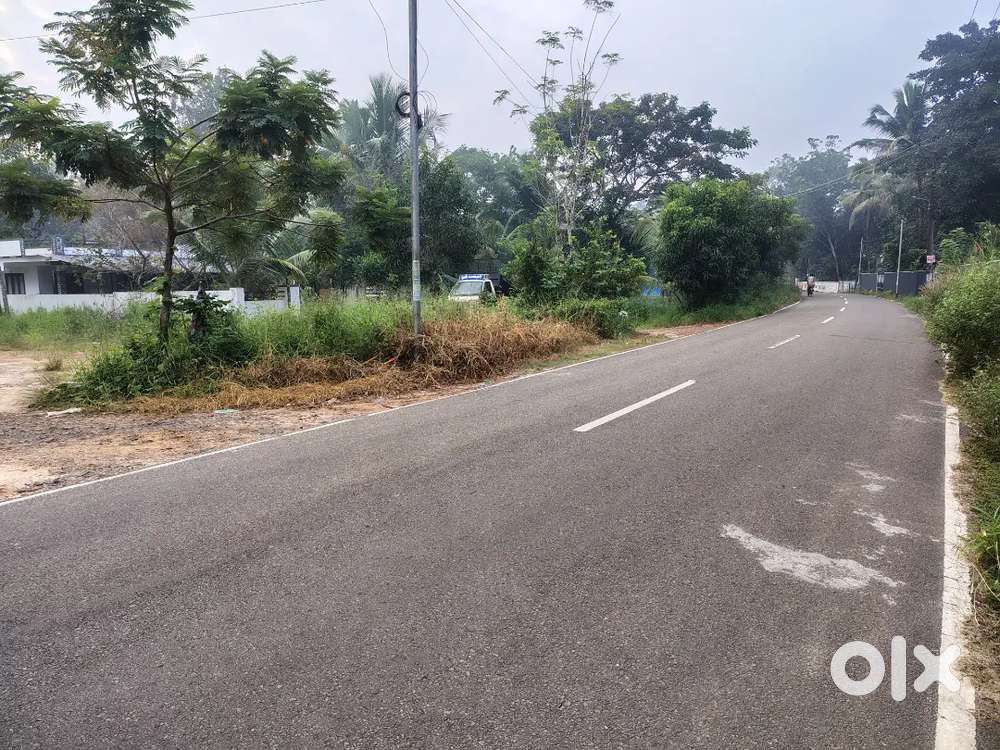 6, 12 Cents house plots east of Muhamma Kanjikuzhi main  Road side