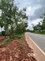 Commercial land