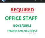 Freshers office staff requirement
