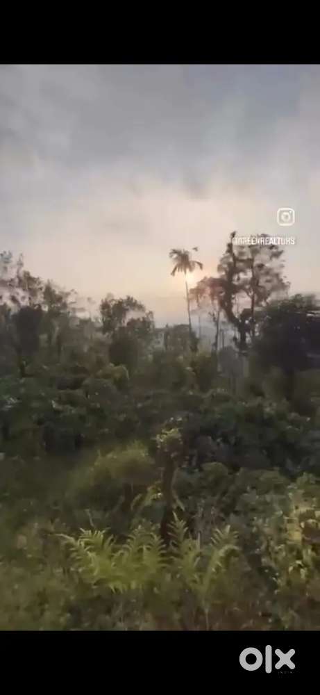 Beautiful Madikeri estate with strong coeffe yield pond and scenic vie