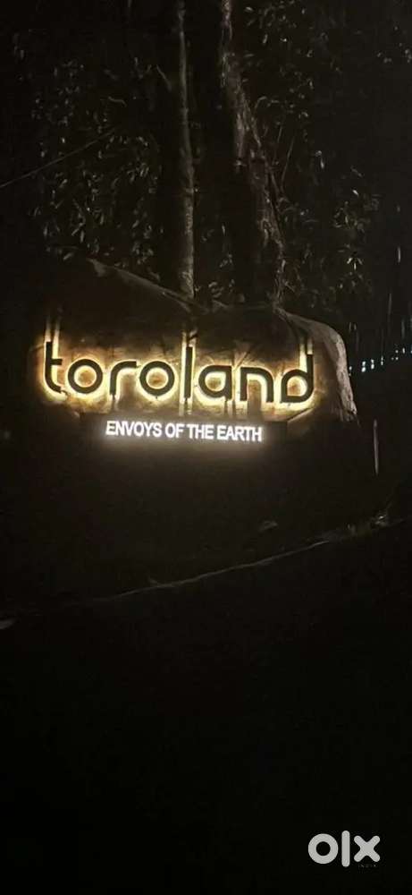 Job Opening of Accounts Manager