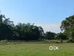 32 lessa land for sale
