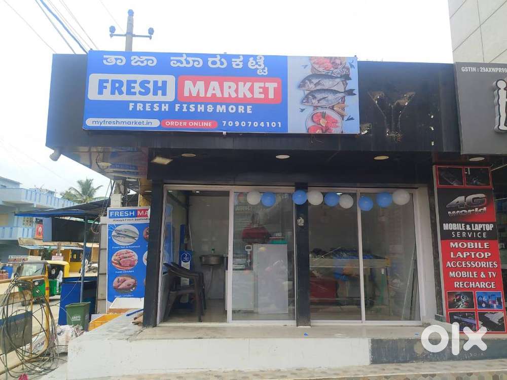 Fish shop for sale