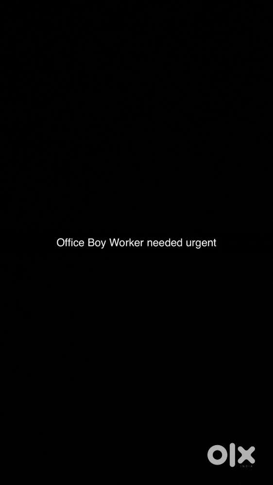 Office Boy needed Urgent