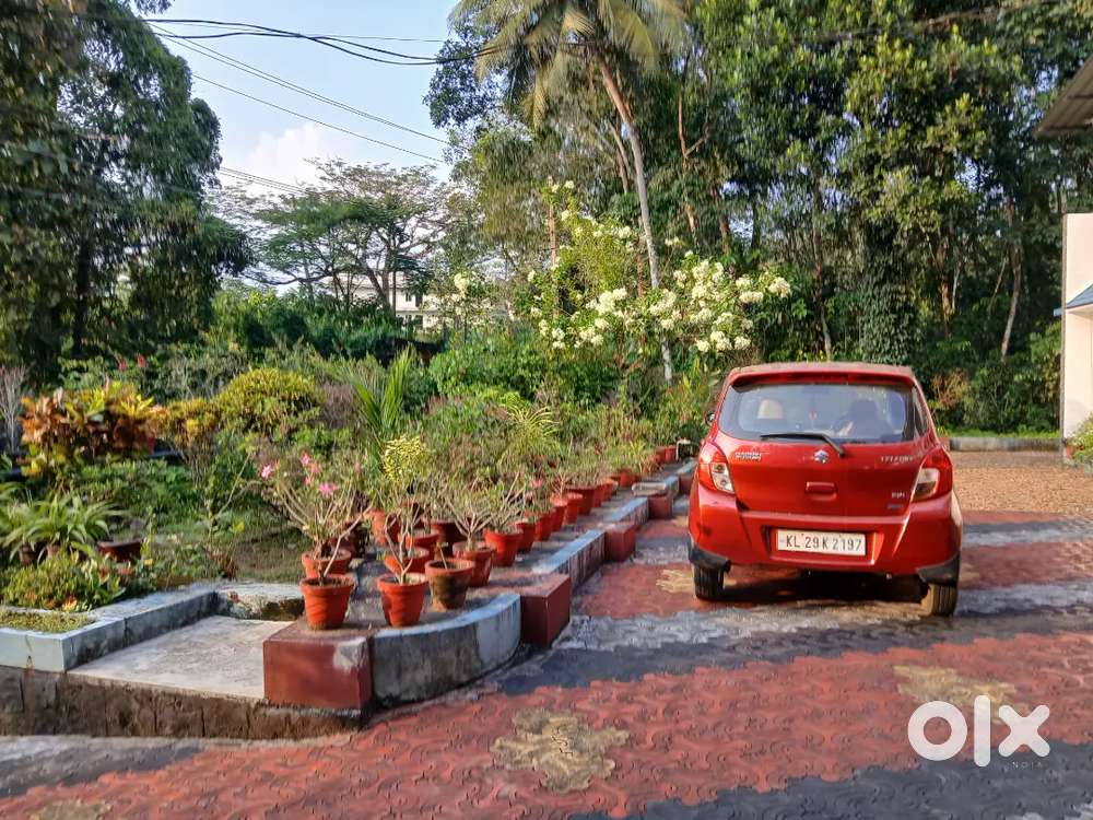 Maruti Suzuki Celerio 2015 Petrol 50000 Km Driven