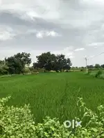 1Acre land