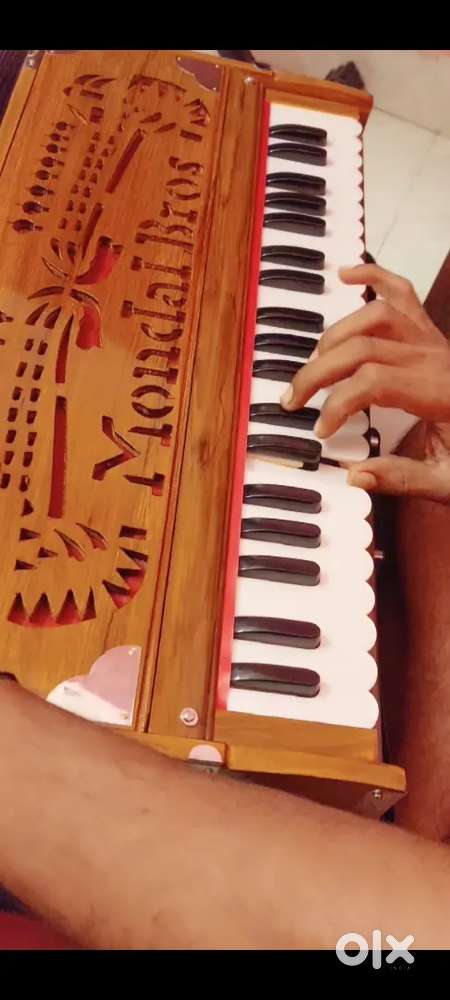 harmonium doble reed