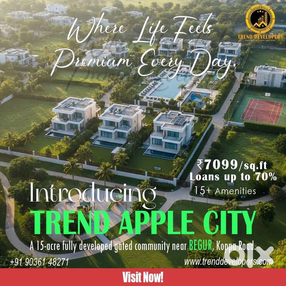 Limited offer, come and grab the opportunity