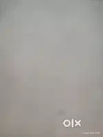 Cook cum baby sitter ( female)