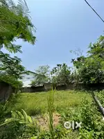 1 katha 13 lessa patta land for sell . Solmari , Kalyanpur NH 17