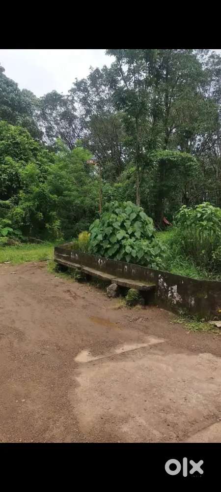 Land for sale 21 cent in kizhakambalam pazhamthottam