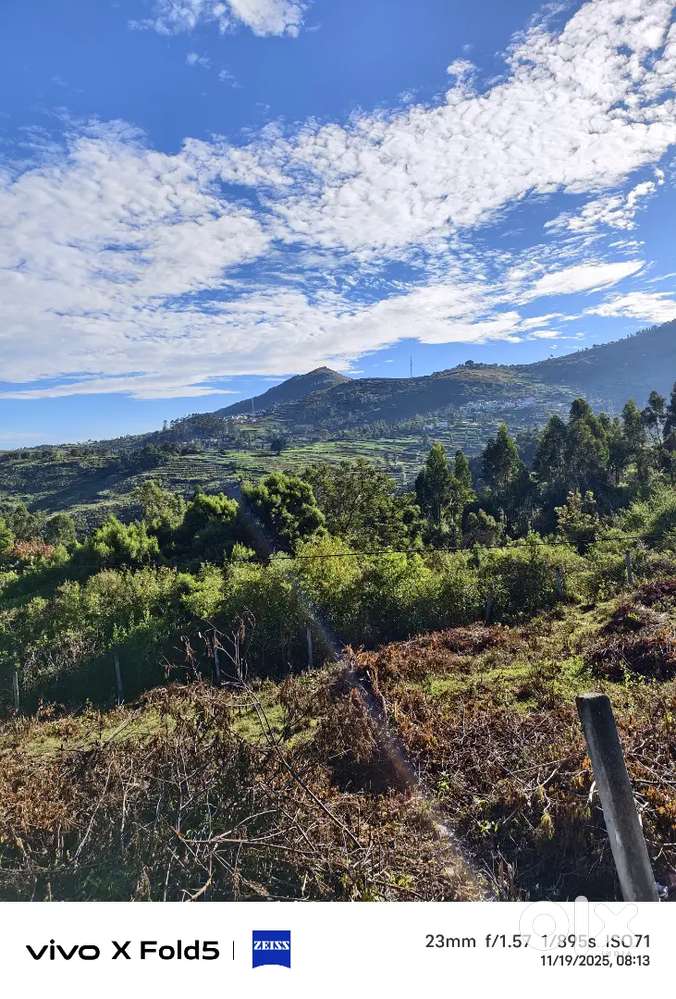 Looking for 10 cent land