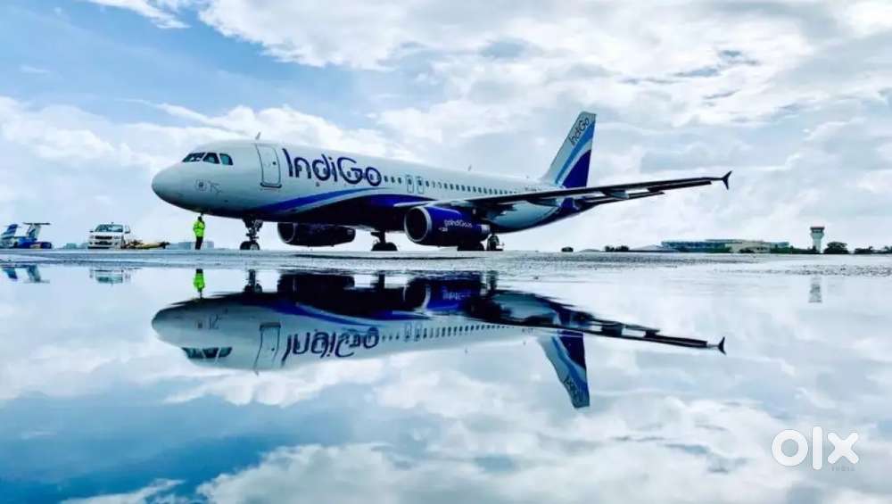 URGENTLY JOB VACANCY IN AIRPORT GROUND STAFF/CABIN CREW APPLY NOW