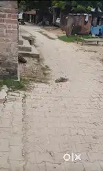 4 biswa zamin hai square ma hai