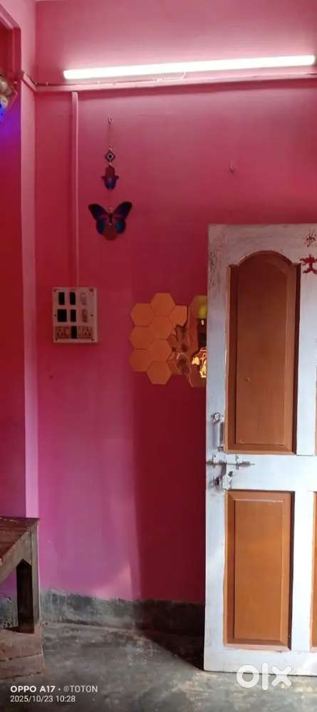 All type room rent available