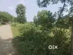 Subarna pur village.Angul to 5km.