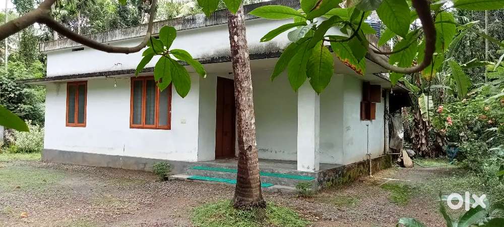 17cent roadside house there is a pipe water with a well