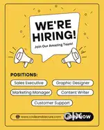 Sales Executive