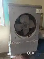 Cooler 1 year old