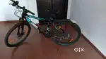 21 gear cycle for adults