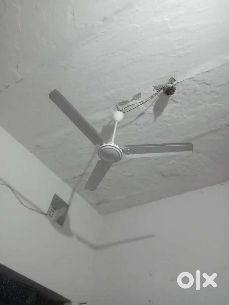 Ceiling tytan fan