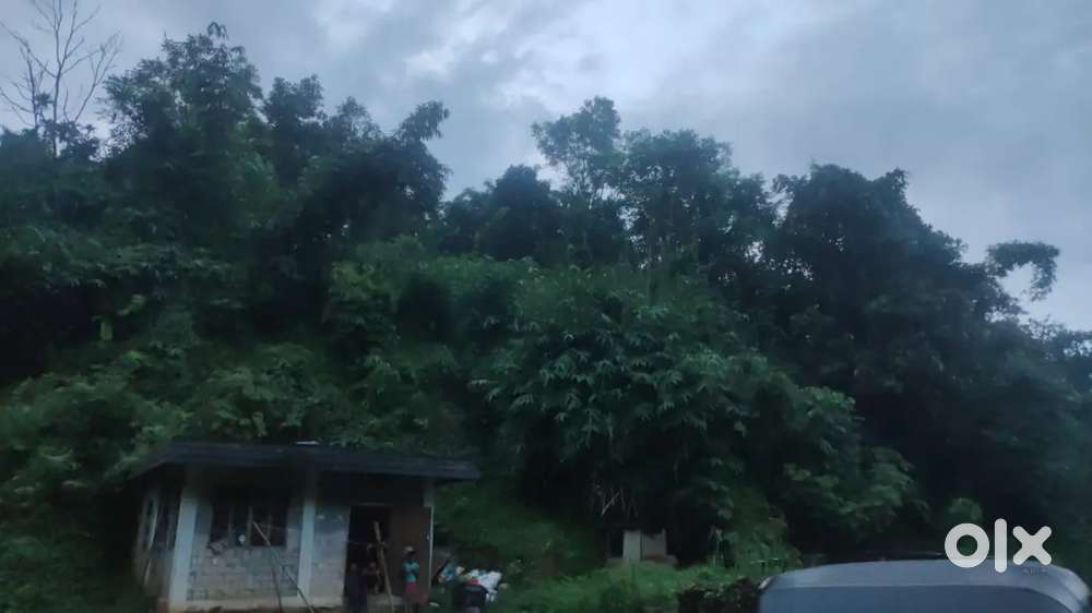 2 acre land plot near highway