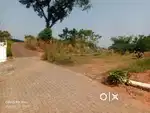 4 and 5 cents plots for sale at near Infopark.