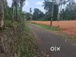 MC road Molakuzha 500 mtr distance house plot.