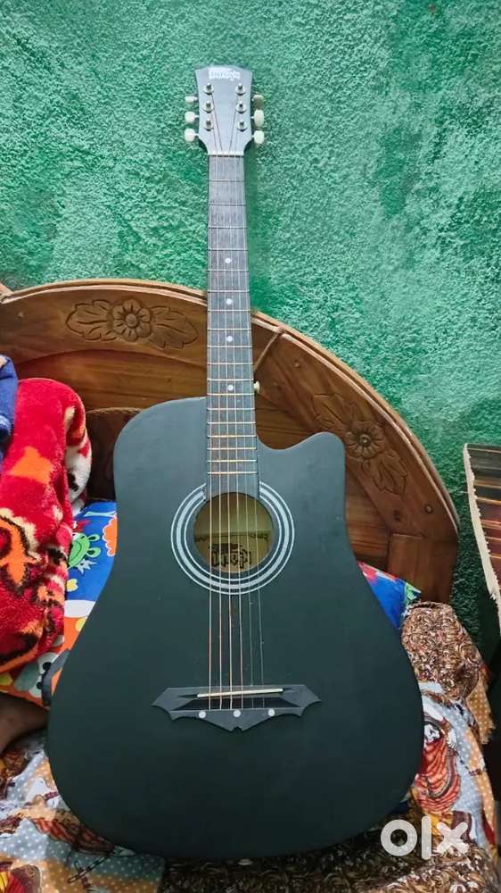 Intern Acoustics Guiter