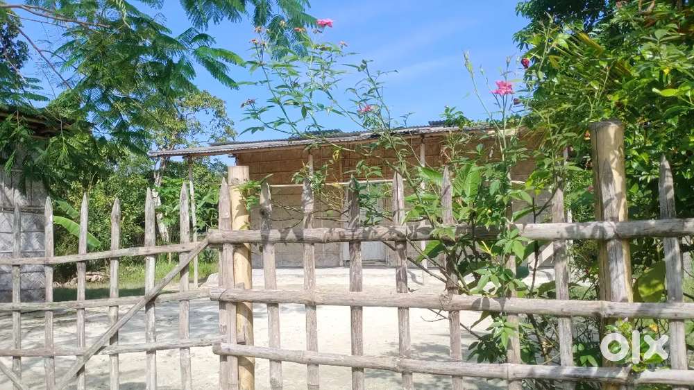 Mangaldai Saloipara chopai 2 katha