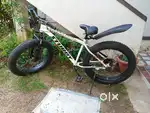 Fat tyre cycle