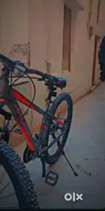 Gear bicycle