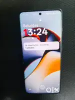 One plus 11 r